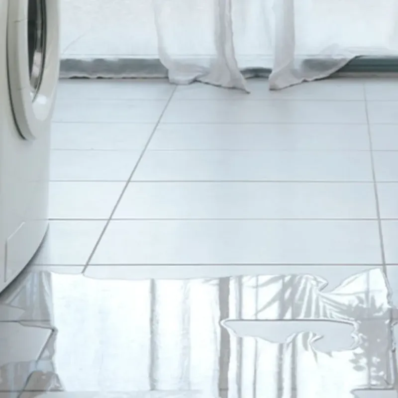 Appliance Leak Cleanup in Blanco, TX