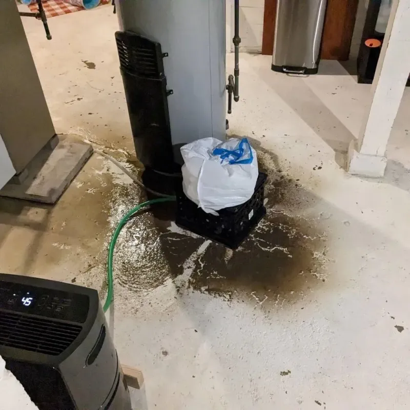 Sewage Backup Cleanup Service in Blanco, TX